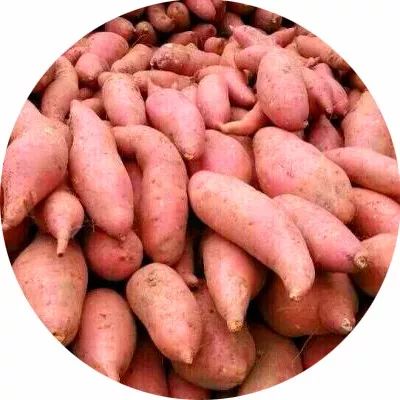 徽州山里人家藏粗粮,天寒地冻幸有此物香