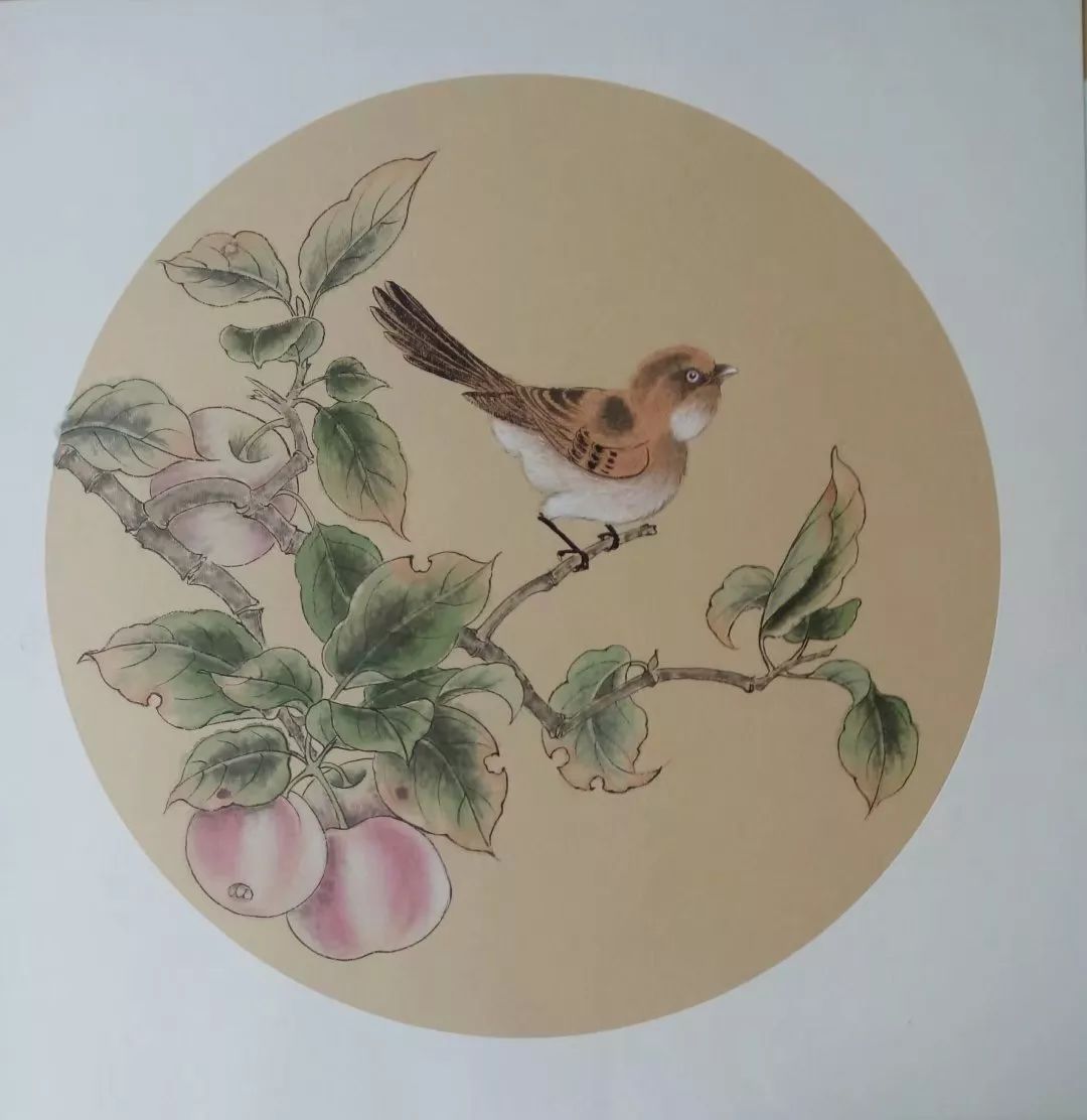 花鸟小品50幅清新动人