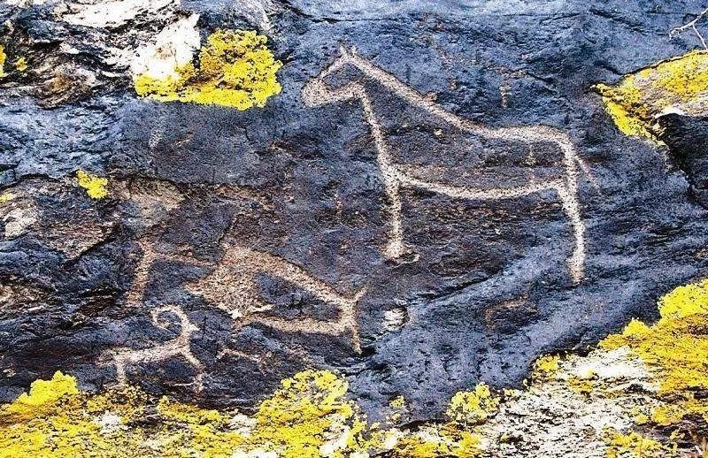 新疆那些你走不到的岩画和看不到的草原石人