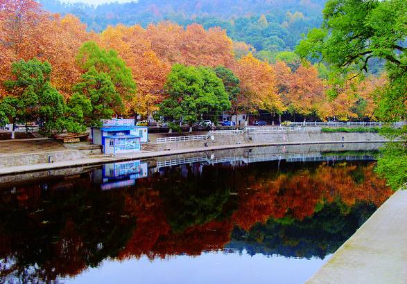 攝:好攝南山也許你看過貴州很多地方的秋景,但是湘江河畔的秋天你留意