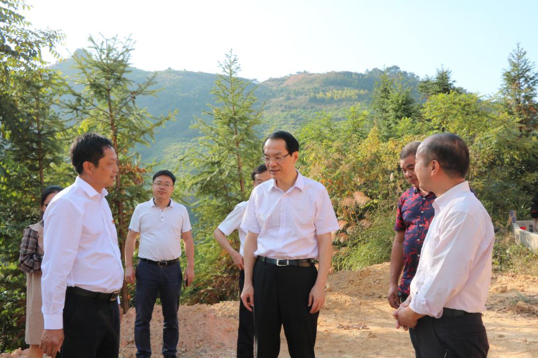 县委书记高向荣到蓝田乡调研