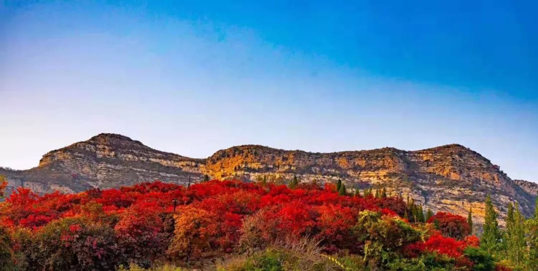 淄博和尚房村红叶满山正是观赏最佳时