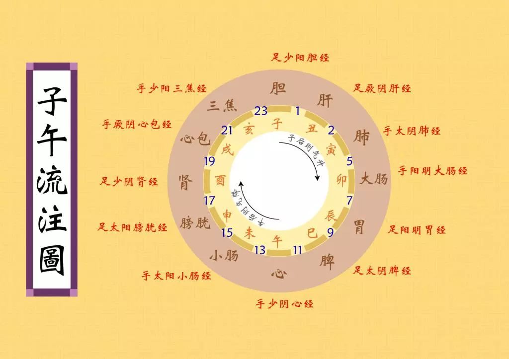 每天子时(晚23时至凌晨1时)和午时(中午11时至下午13时)的睡眠时间