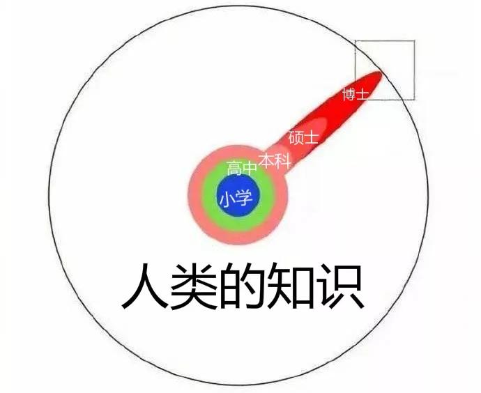 观点:碎片化社交媒体形成碎片化的知识体系,喜忧参半