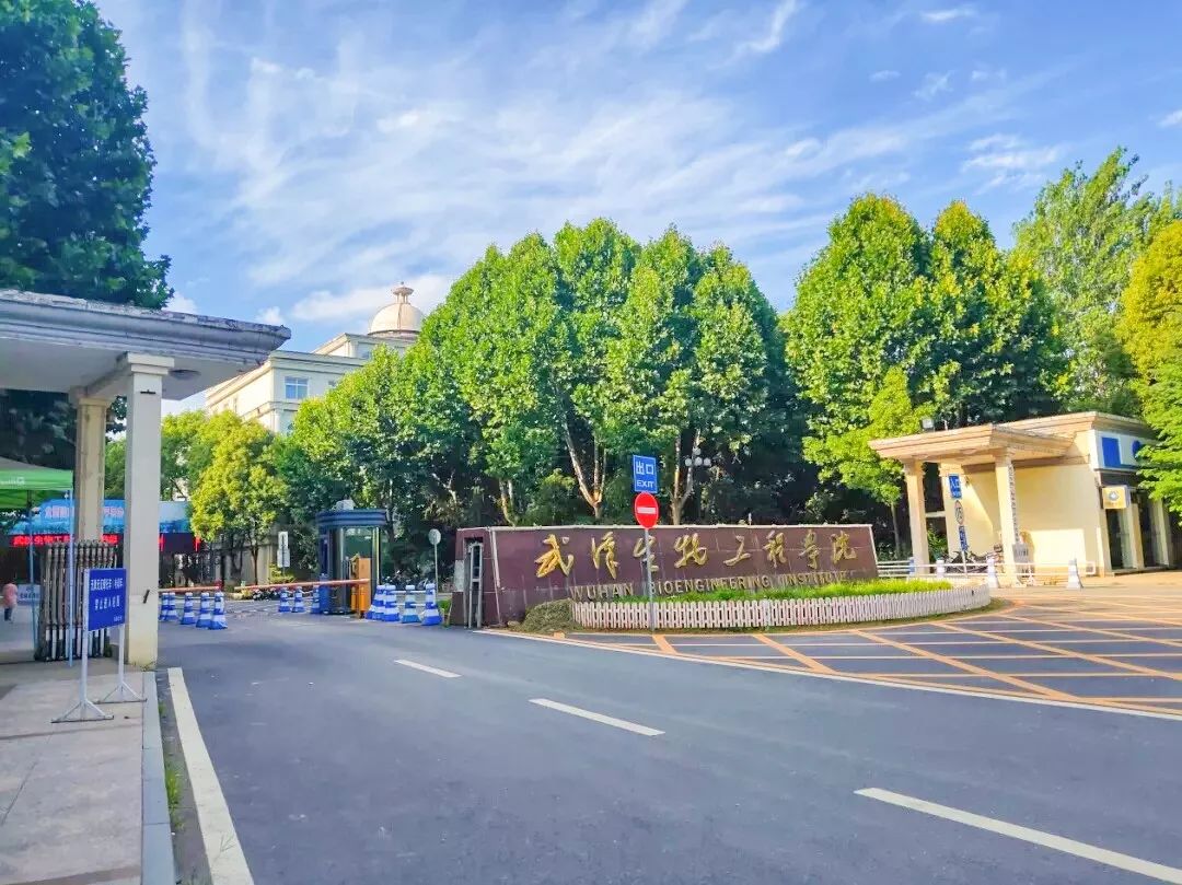 whub字母编织武生院的故事