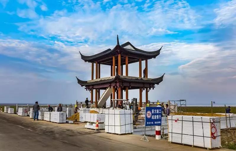 江西向世界邀约12月来鄱阳湖观鸟附独家观鸟攻略