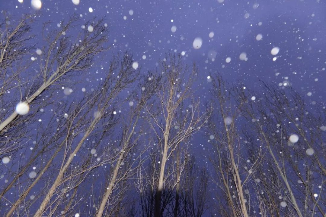 叶赛宁的诗初雪,叶赛宁的诗,叶赛宁的短诗_文秘苑图库