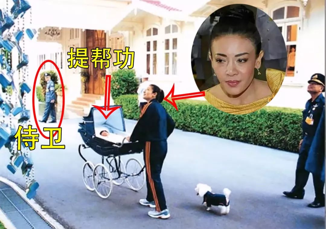 西拉米带提帮功逛花园穿衣打扮好亲民却要保姆跪在地上哄王子