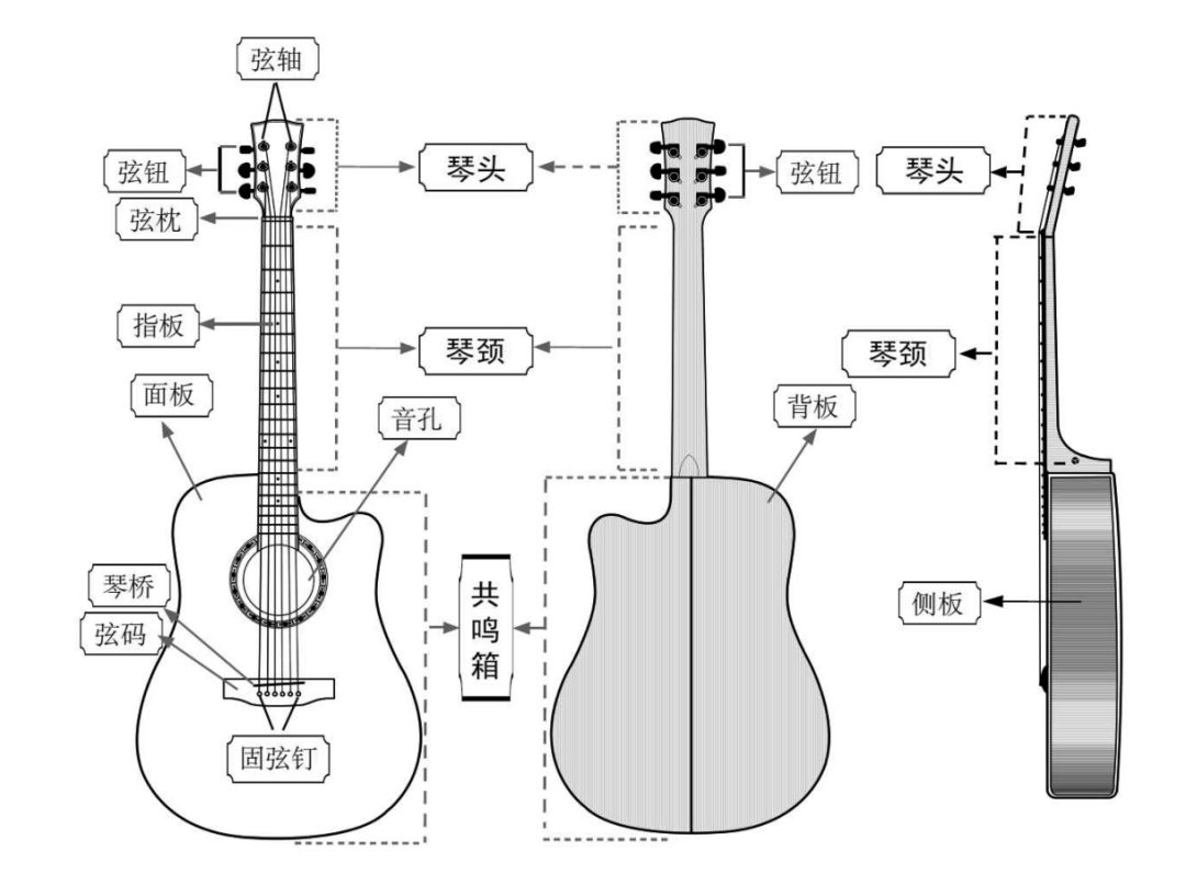 下图为吉他的基本结构图,并不需要你现在完全掌握并记住它,课程无论