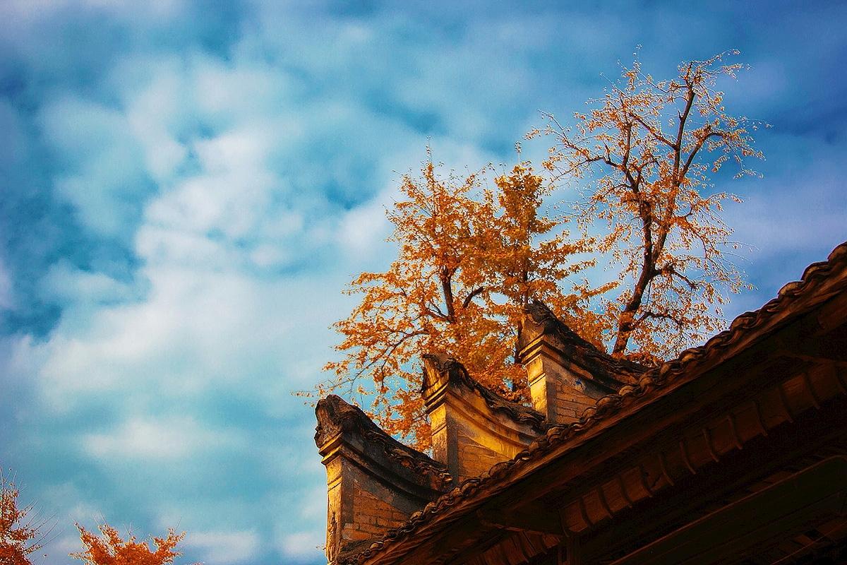 古寨沟酒业胡妃酿和吾家珠玑原料采自风景区本地好米