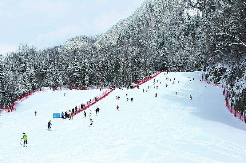 滑雪场滑雪场八台山滑雪场位于第七台观音圣泉,海拔2200米,长170米,宽