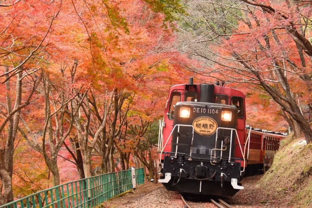 乘坐嵯峨野小火車,穿越到童話世界嵐山深處還有一座當地人的賞楓