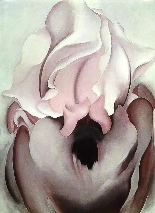 有评论家说欧姬芙的画,拥有着强烈的性感色彩,充斥着大量的女性生殖器