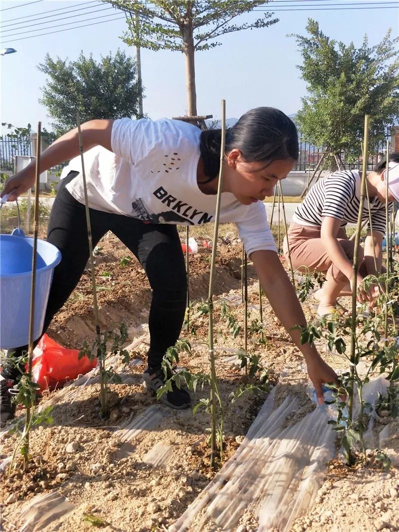 播种希望收获成长新圩学校学生劳动实践基地开种啦