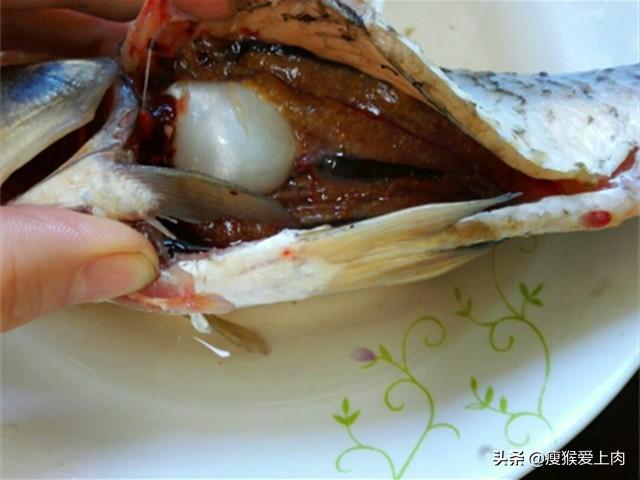 特别是鱼肚子里的那一层黑膜一定要清理干净,不然会又腥又苦