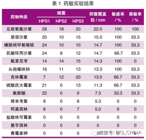 圓環病毒,豬瘟病毒,偽狂犬病病毒,胸膜肺炎放線桿菌,鏈球菌等協同作用