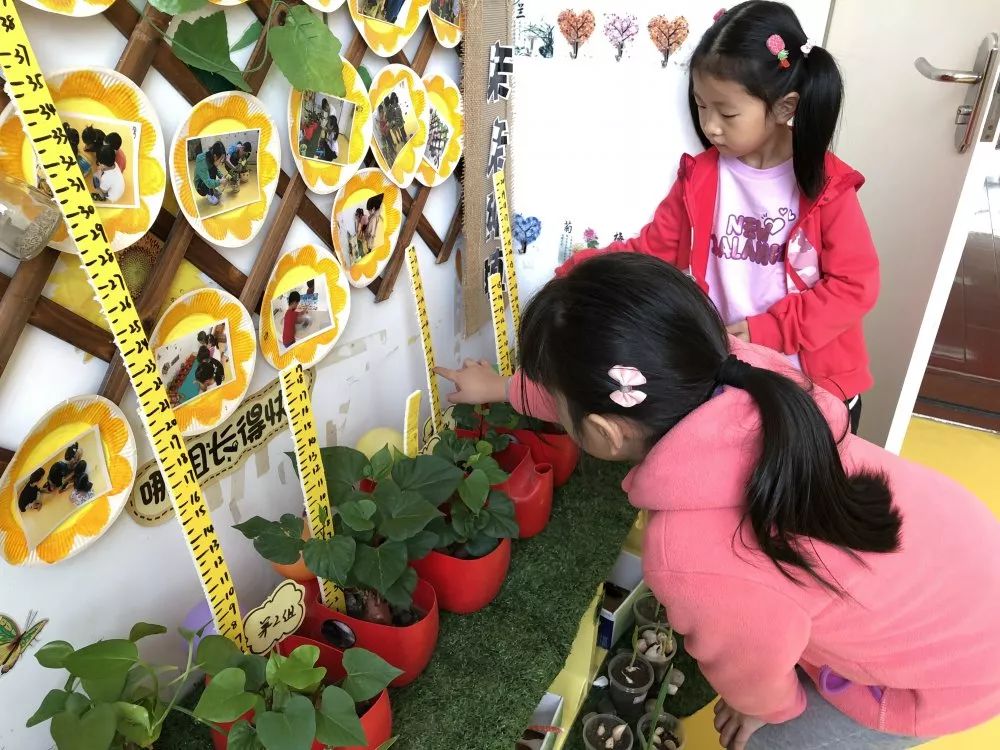 植物角测量工具图片