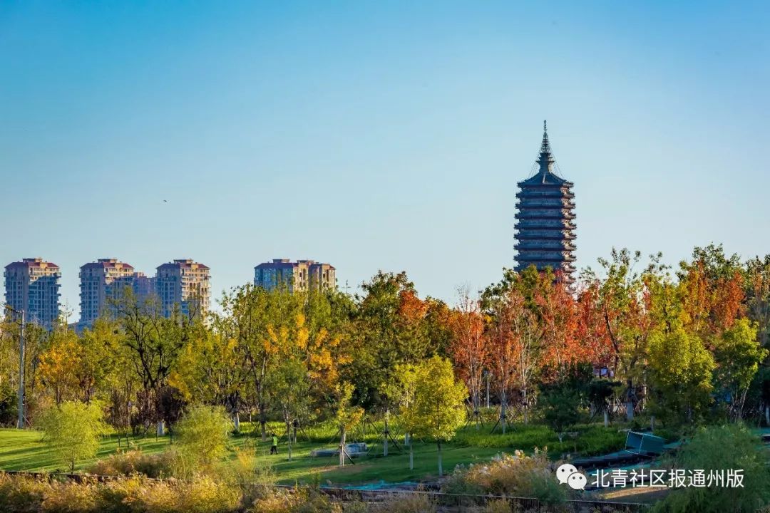 打卡拍照!通州这些地方的秋景美如画