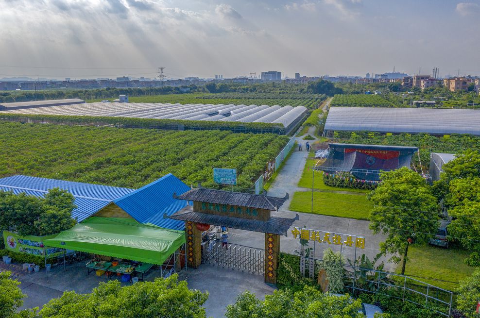 9:30~16:30会场地址广州种业小镇交通路线东涌地铁站乘坐南52/南37/35