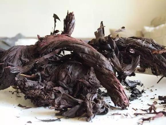 科普系列二植物染色之紫草