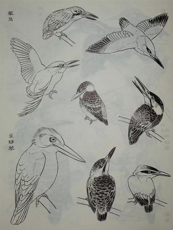 素材白描禽鸟类画谱100幅