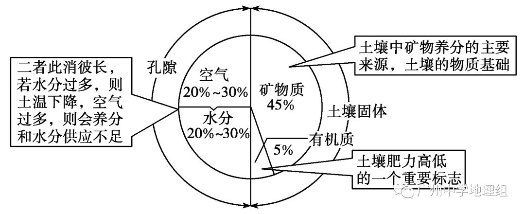 土壤是由矿物质,有机质,水分,和空气四种组成.一,土壤的组成—土壤