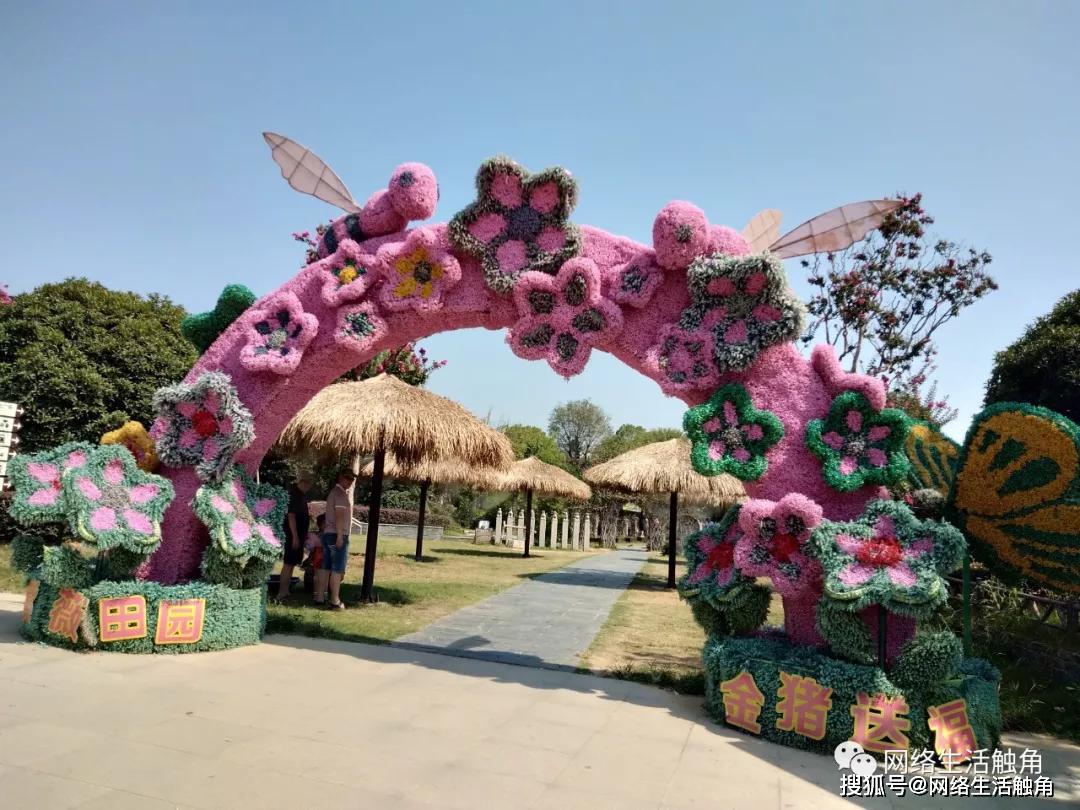 週末暢遊紫薇都市田園,徜徉在紫薇花海藝術世界(上)