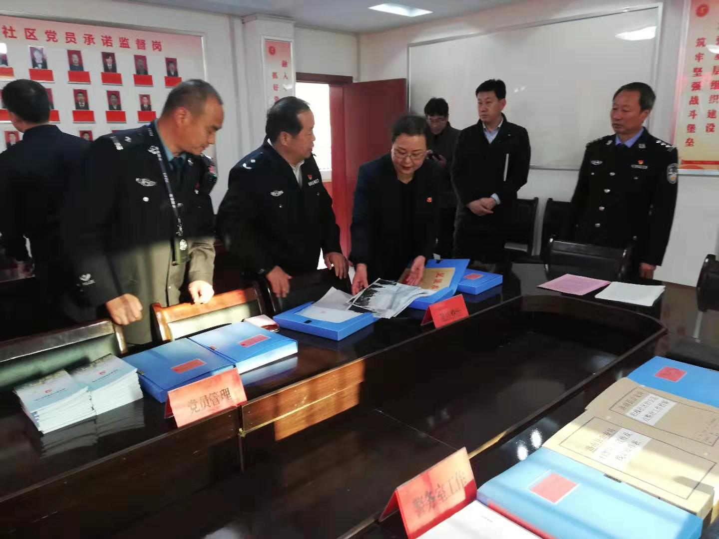 省公安厅领导马周齐一行深入洛南县检查治安乱点整治工作