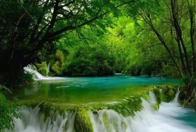 克罗地亚十六湖绿水青山湖光山色