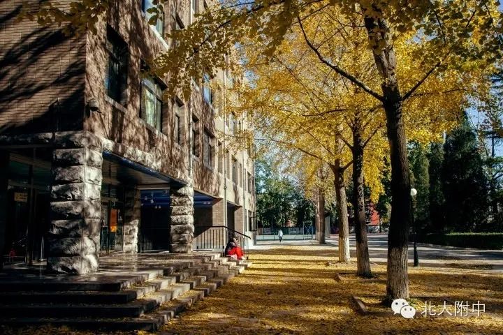 当我第一次走进00后的潜水课堂之后,真羡慕._北大附中