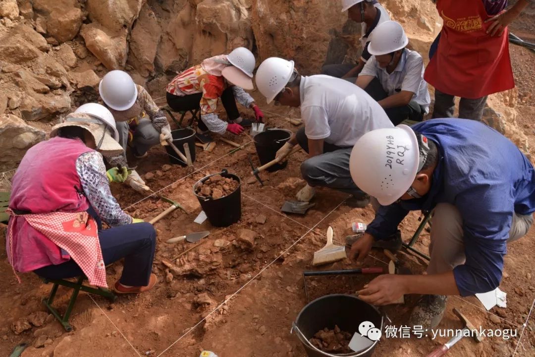 根据洞穴的自然分布情况和走向,共布设探方3个,实际发掘面积70平方米