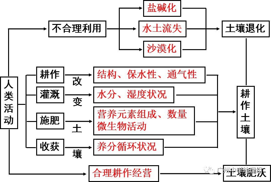 人类活动主要通过改变成土因素作用于土壤的形成与演化过程5.