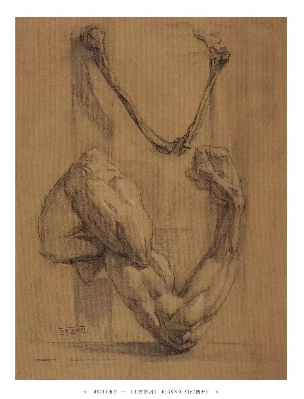 联考在即放松心情来看看列宾美术学院优秀素描作品吧