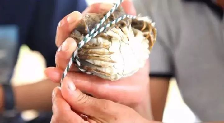 河蟹丰收节直播预告相约天屿湖感受新汉川