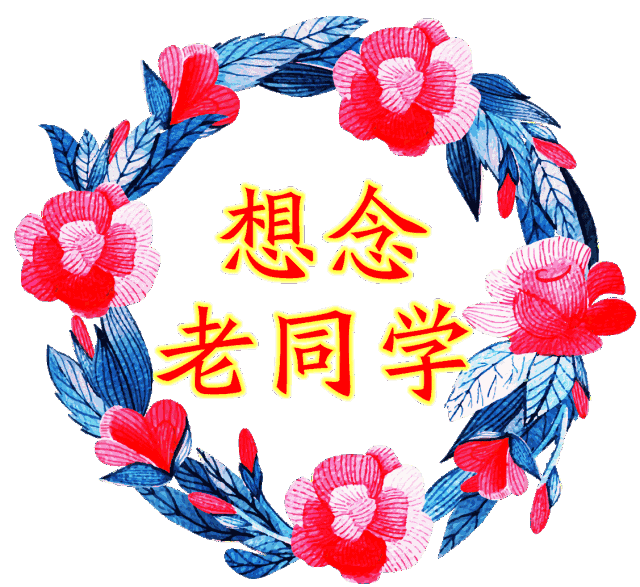 天冷了,对你的思念更深了,老同学,立冬了,▼刀刀刀《老同学,好久不见