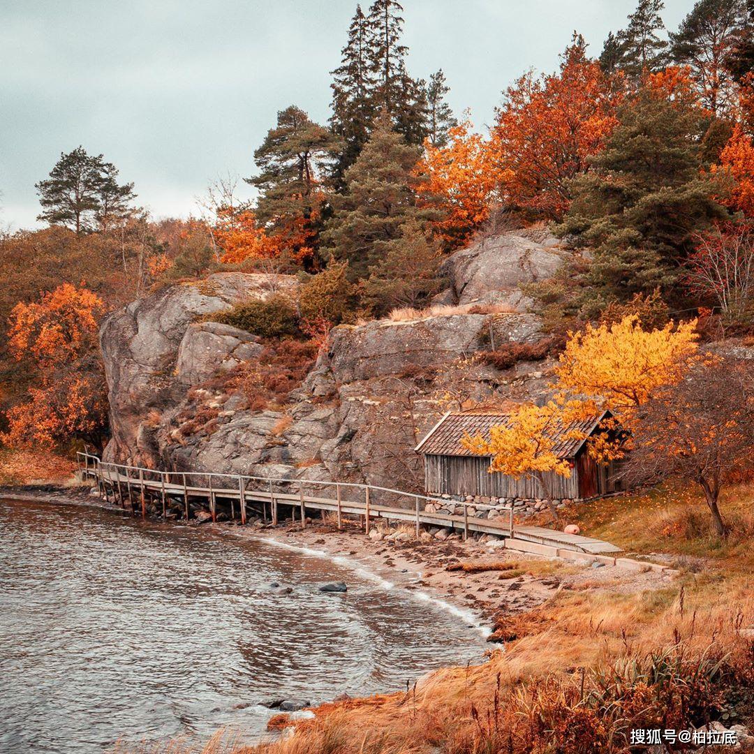 瑞典的唯美枫林纯洁雪景美不胜收