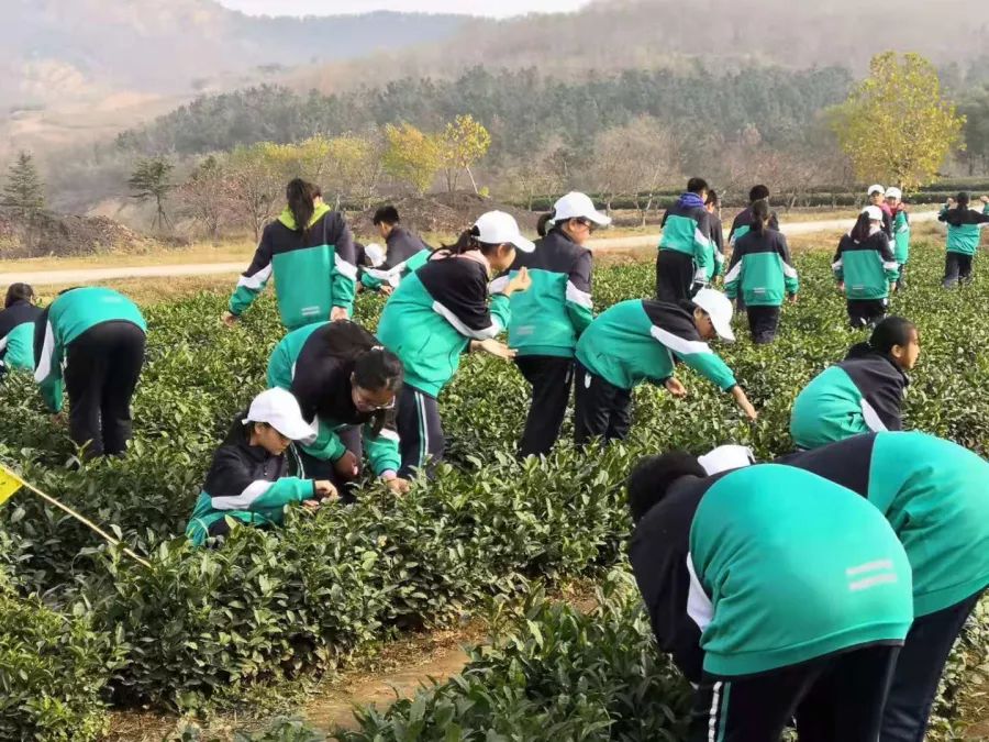 思源德育踏着青春节奏敲出铿锵音符青岛23中七年级学农记