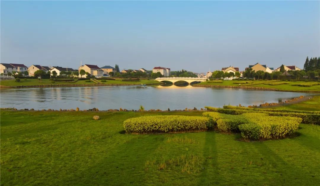 新镇新貌乡村振兴之川沙连民村系列三农业底色上如何绘就千村千面