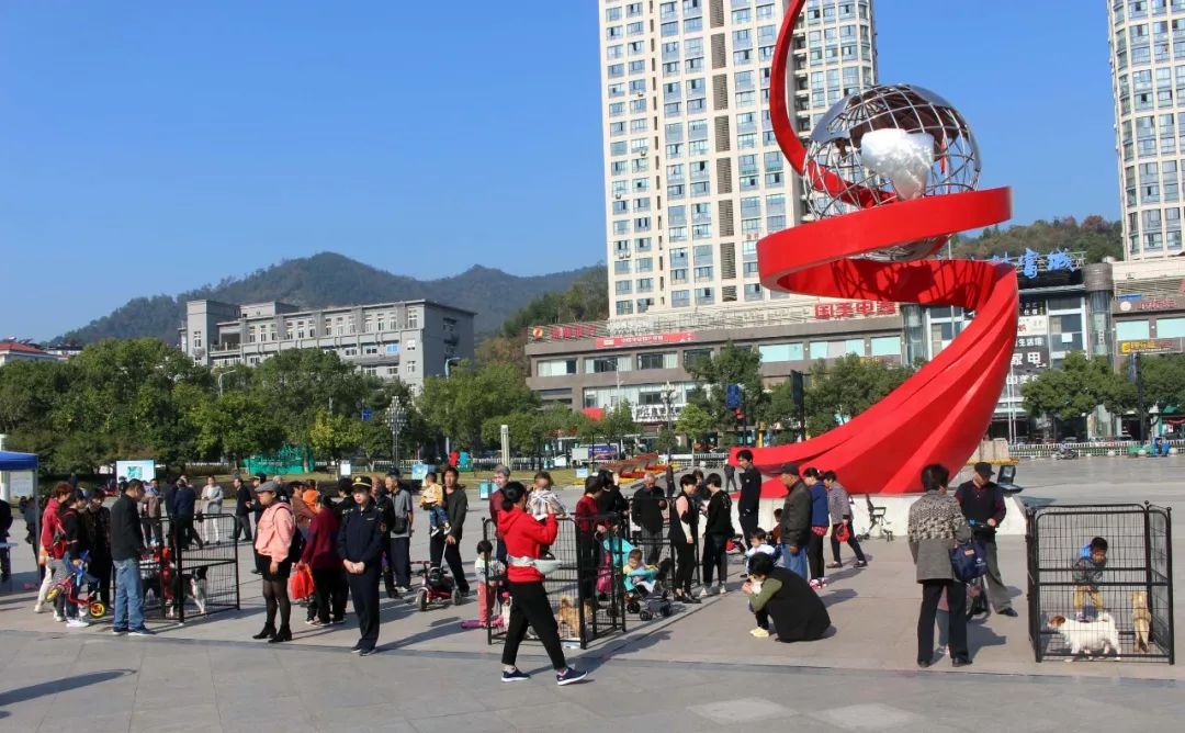 今天新广场上这么多人为它们找新家