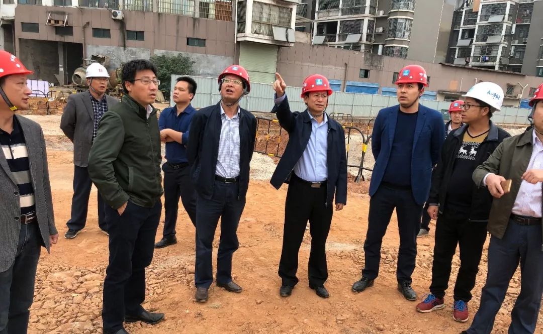 徐文泊调研督导"五路一桥"项目