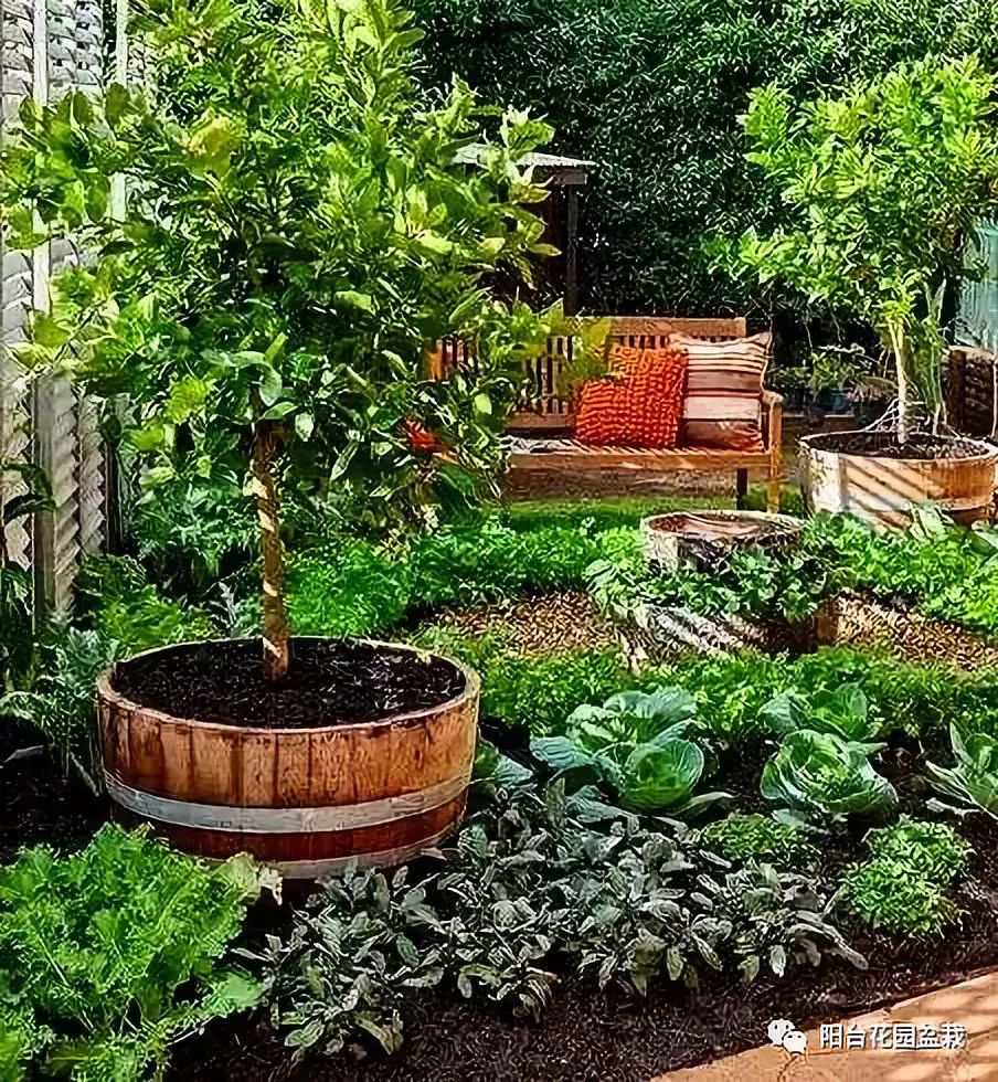 每个人都想要的院子养花种菜咱建一个可好