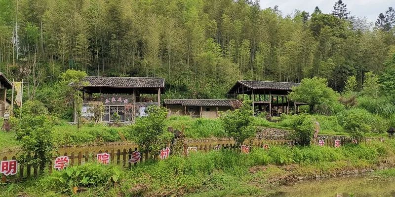 中国绿都最氧三明十佳森林康养基地①守拙归园田耕读向李家