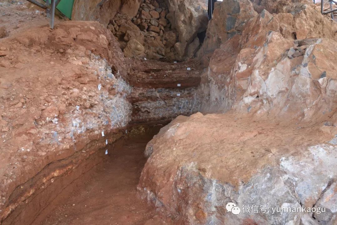 遗址的地层堆积主要包括洞穴上部的文化堆积和洞穴下部的裂隙堆积两