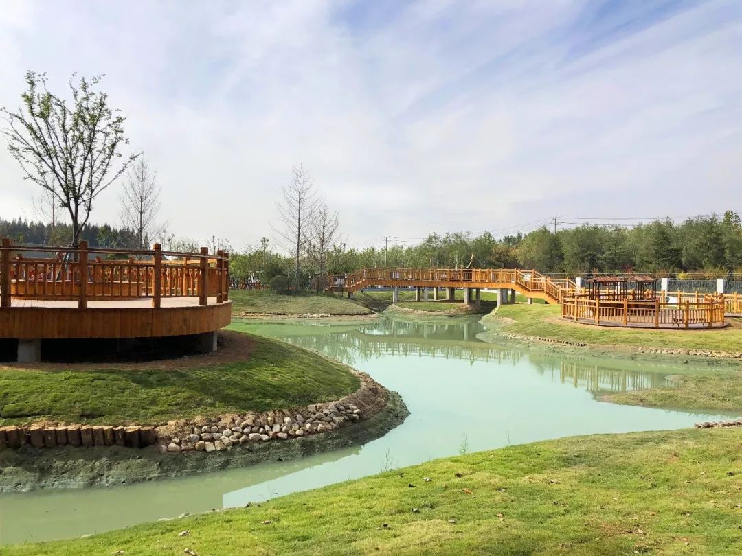 新作 | "神兽"之约 / 日照森林公园麋鹿园