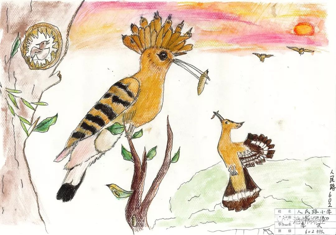 池州市小学生湿地绘画作品展来啦有你家娃儿的吗