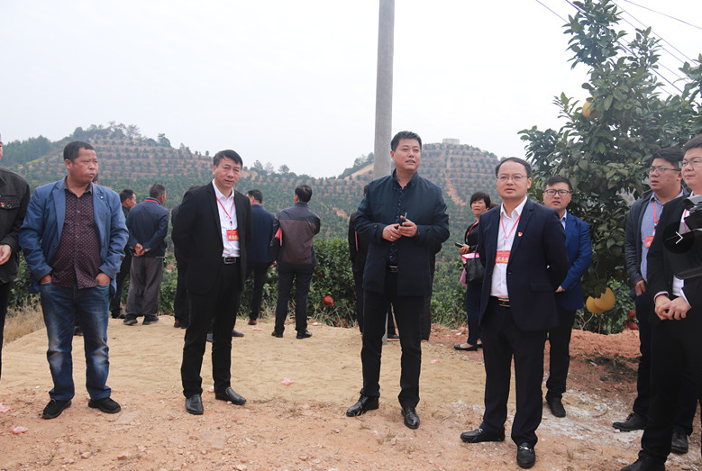 原创黎川日峰镇积极落实市委书记肖毅同志在沁心胭脂柚基地视察的指示