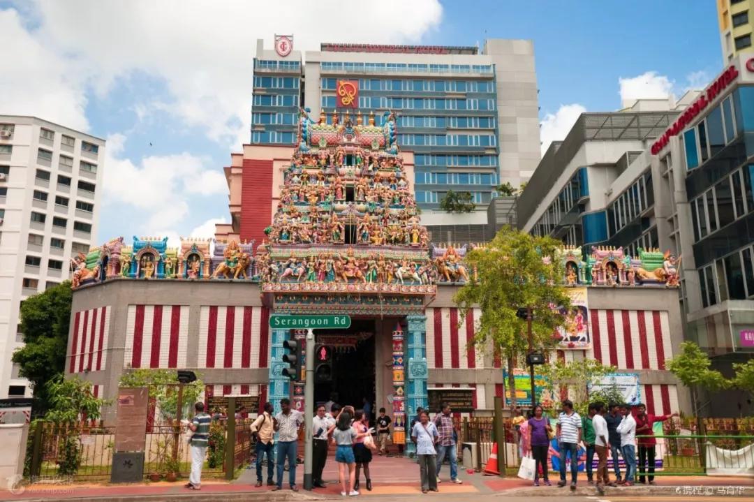 新加坡国际研学丨上新啦!属于你的生态与文化多元探索亲子营来咯!