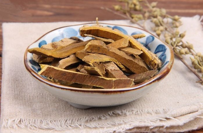 每天学一味中药,关黄柏!