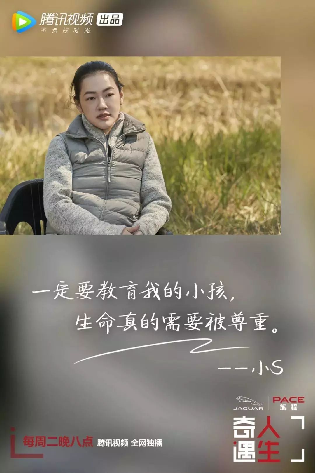 拍摄到被残忍猎杀后砍去象鼻,拔去象牙的大象,血腥的画面打上了马赛克