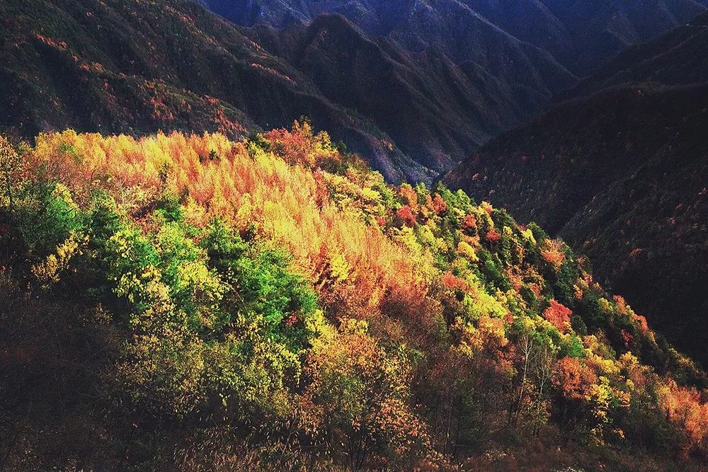 巴山夜雨涨秋池愿如彩叶舞翩跹